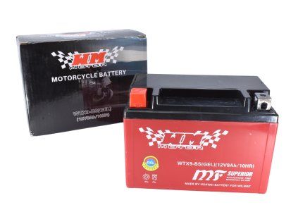 PIT00006 - Acumulator 8Ah (WTX9-BS) - GEL