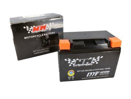 PIT00007 - Baterie 12 V 9,5 Ah (WT12A-BS) - GEL, fără întreținere