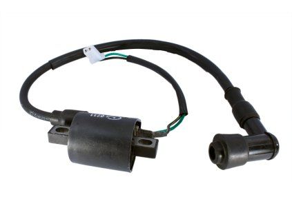 PIT01063 - Bobină de aprindere - 1 conector / 2 pini - mascul