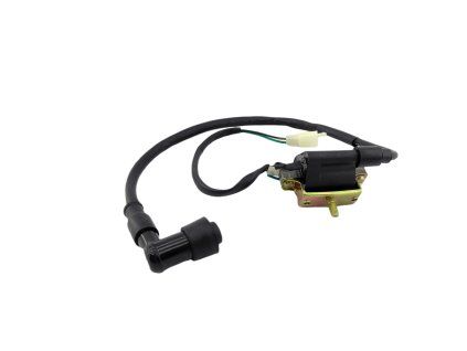 PIT02716 - Bobina de inducție (1kon-2pin) - tată