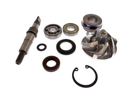 PIT02350 - Pompa de apa Shineray 250cc