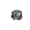 PIT02676 - Cap motor 125cc - 52.40mm - complet