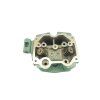 PIT02809 - Cap motor BASHAN org. 200cc 103x103 - rezervor apa
