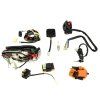 PIT03253 - Cablaj ATV 200-250cc - complet