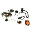PIT03253 - Cablaj ATV 200-250cc - complet