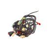 PIT02336 - Cablare ATV 250cc - Bashan BS250S-5