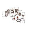 PIT02487 - Arcuri supape motor YX140 - complete