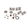 PIT02487 - Arcuri supape motor YX140 - complete