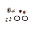 PIT02487 - Arcuri supape motor YX140 - complete