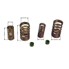 PIT02785 - Set arcuri cap Loncin 250cc - complet