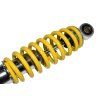 PIT00227 - Amortizor spate - 250x7mm - galben