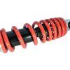 PIT00891 - Amortizor spate - 283x7mm
