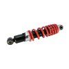 PIT00891 - Amortizor spate - 283x7mm