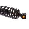 PIT02108 - Amortizor spate - 320x8.5mm - negru