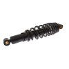PIT02108 - Amortizor spate - 320x8.5mm - negru