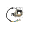 PIT01554 - Aprindere stator cu 2 bobine - ATV (cal de plastic)