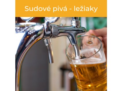 Sudové pivo - ležiaky
