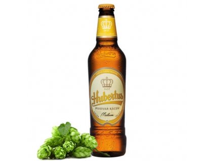 Hubertus Svetlá 11° 0,5l