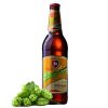 Chotěboř Premium 12° 0,5l
