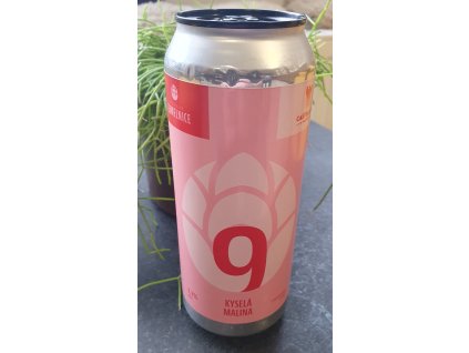Castellum - KYSELÁ MALINA SOUR ALE 9°, LIMITOVANÁ EDICE, 0,5L, plech