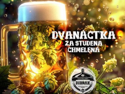 12 ZA STUDENA CHMELENÁ