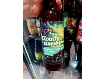 20251210 113255 resized