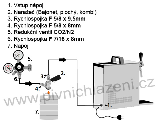 pygmy15redwn