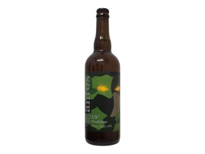 Photoroom 20250304 150306 4