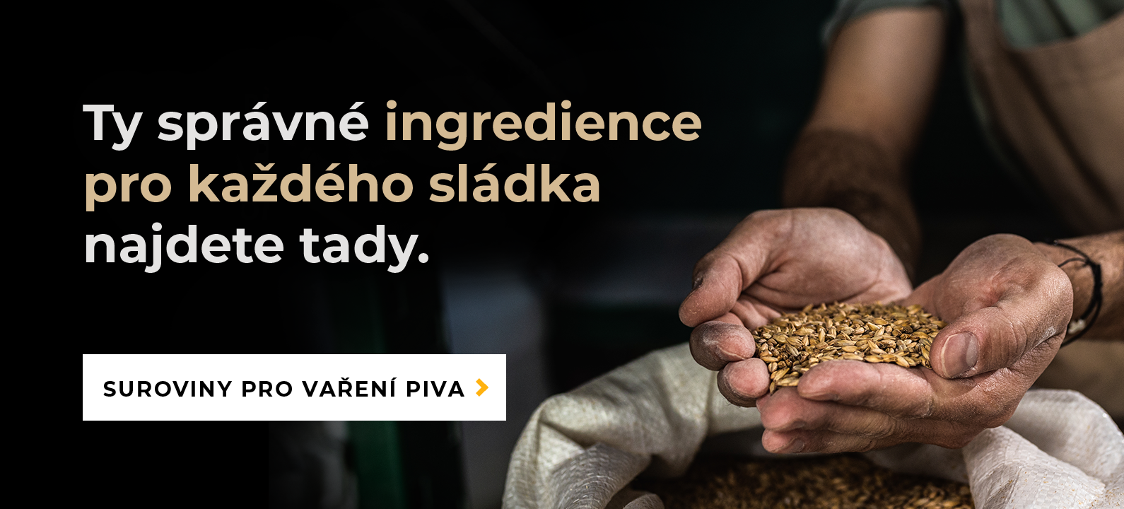 Suroviny pro vaření piva