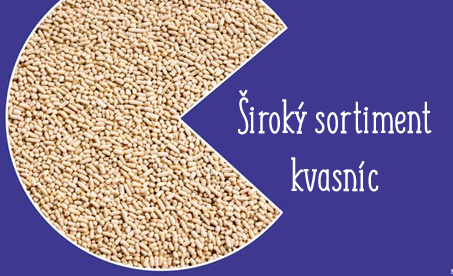 Kvasnice
