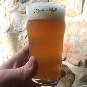 rIPka 14° - žitná IPA