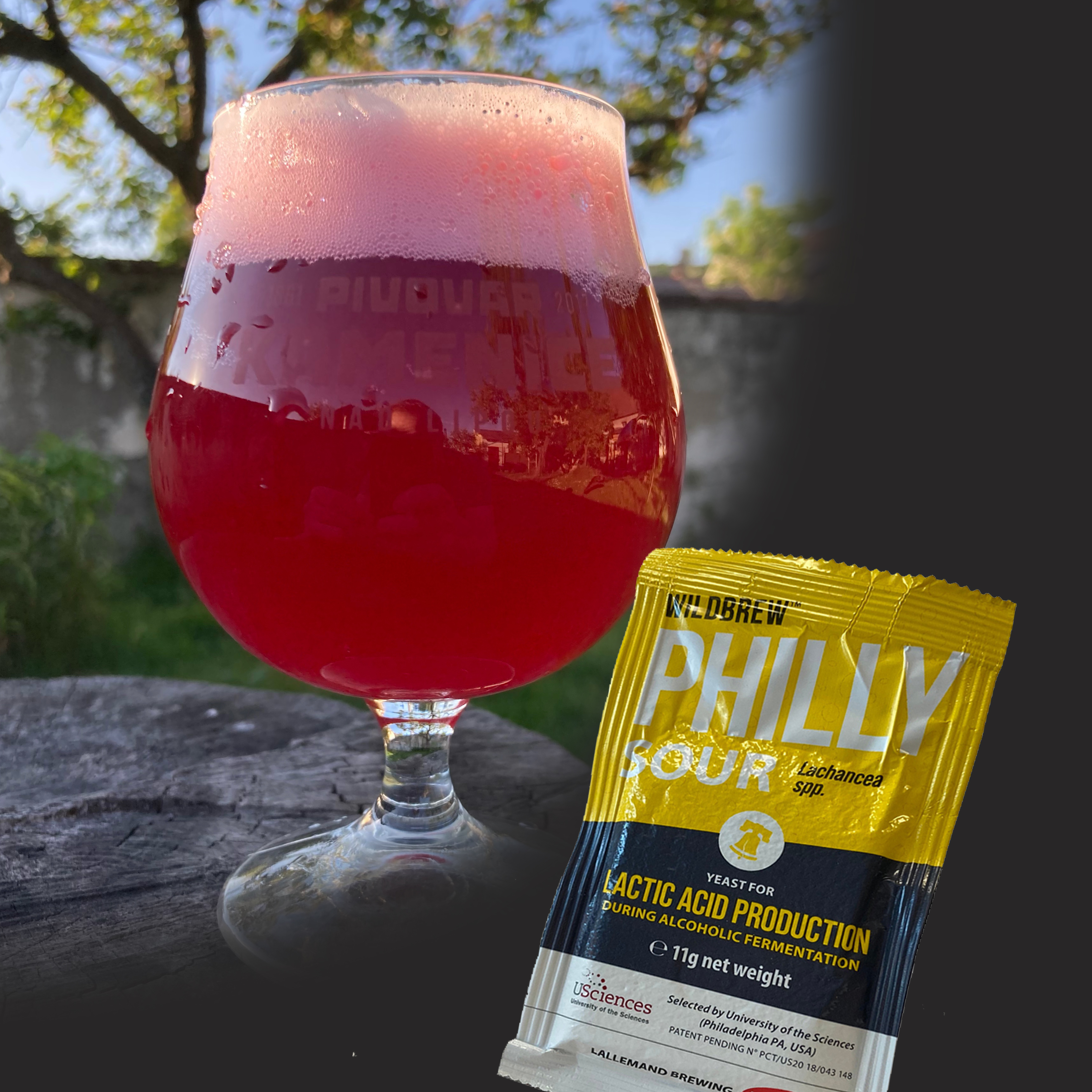 Tipy při práci s Lallemand WildBrew™ Philly Sour