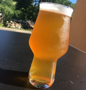 Summer Ale 11° - Lemondrop