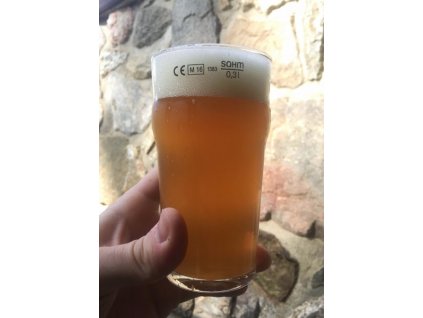 žitná ipa recept 1