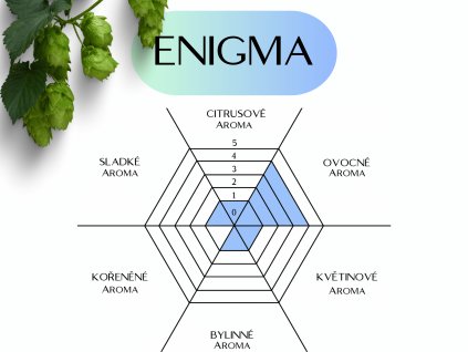 ENIGMA