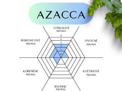 azacca