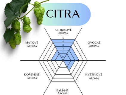 CITRA