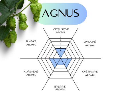 agnus