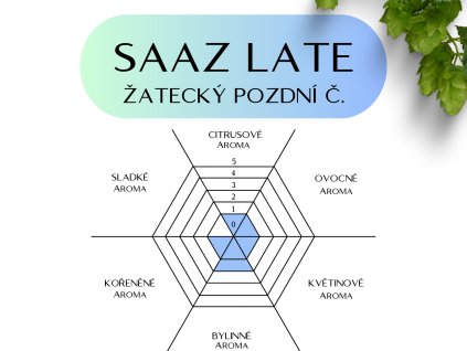 saaz late