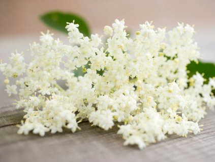 E54C42F4 1CEF 4FB3 BB6F 3906296FB16E