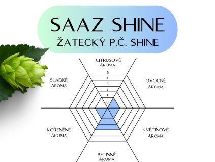 SAAZ shine
