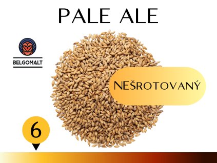 PALE ALE šroto (8)