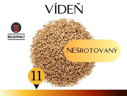 víden šroto (6)