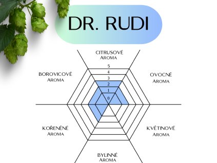 dr rudi