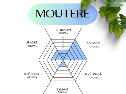 moutere