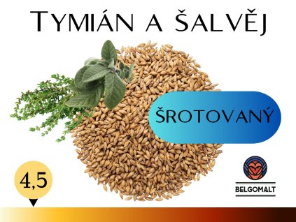 plzen šroto (4)