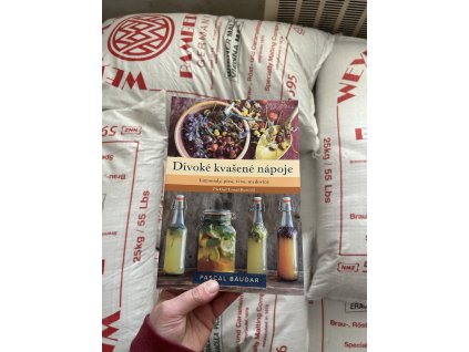 Divoké kvašené nápoje
