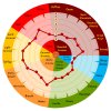 Weyermann Malt Aroma Wheel Weyermann Carared Wort