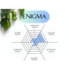 ENIGMA