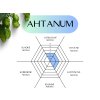ahtanum